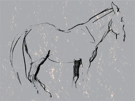 Hand drawn grunge illustration of a horse, charcoal sketch on stone Stock Photo - Budget Royalty-Free & Subscription, Code: 400-06479350