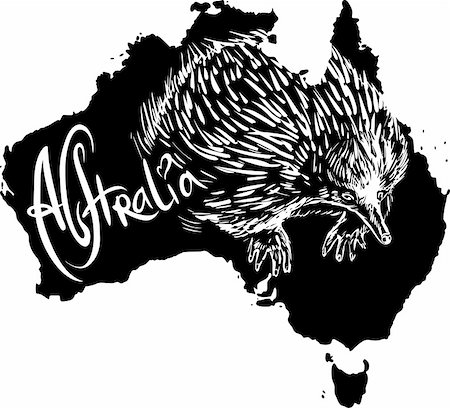 Echidna on map of Australia. Black and white vector illustration. Stock Photo - Budget Royalty-Free & Subscription, Code: 400-06472143