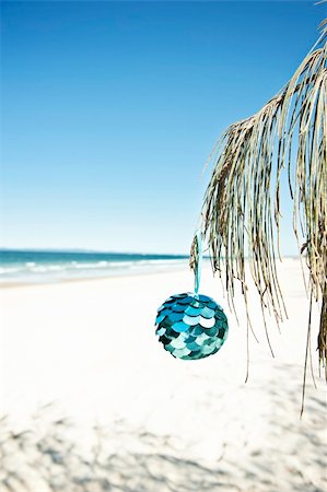 a blue bauble hangs from a tree at the beach, vertical Stock Photo - Budget Royalty-Free & Subscription, Code: 400-06480724