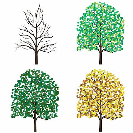 simsearch:400-04281316,k - Four season trees on the white background. Also available as a Vector in Adobe illustrator EPS 8 format, compressed in a zip file. Photographie de stock - Aubaine LD & Abonnement, Code: 400-06514484