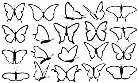 set of butterflies isolated on white Stock Photo - Budget Royalty-Free & Subscription, Code: 400-06514531