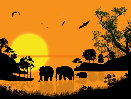 Elephants swims through the water at sunset, vector illustration Stock Photo - Budget Royalty-Free & Subscription, Code: 400-06519313
