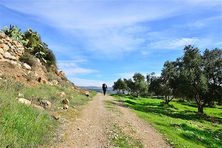 Walking on ancient hills and historic place. Traveler with a backpack on his back. Stock Photo - Budget Royalty-Free & Subscription, Code: 400-06524117