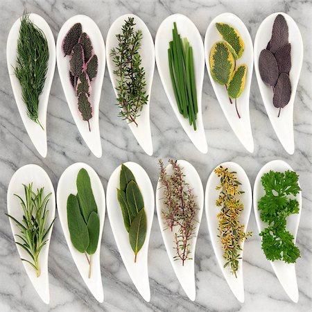 Herb selection of varieties of thyme, sage, rosemary, fennel, mint, chives, parsley and bay leaf sprigs in leaf shape white bowls over marble background. Stock Photo - Budget Royalty-Free & Subscription, Code: 400-06527897