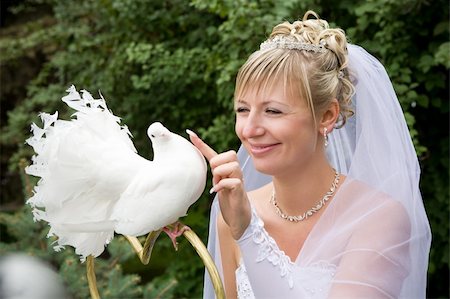 bride touching a white pigeon Stock Photo - Budget Royalty-Free & Subscription, Code: 400-06520389