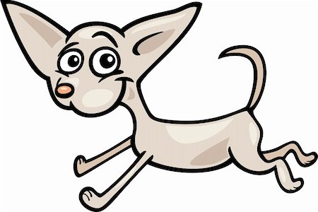 simsearch:400-04214443,k - Cartoon Illustration of Funny Purebred Running White Chihuahua Dog Stock Photo - Budget Royalty-Free & Subscription, Code: 400-06520980