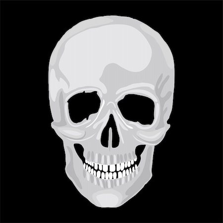simsearch:400-03971352,k - Human skull model. Vector object scull illustration. People bone design  isolated on black background. Halloween symbol. Foto de stock - Super Valor sin royalties y Suscripción, Código: 400-06521498
