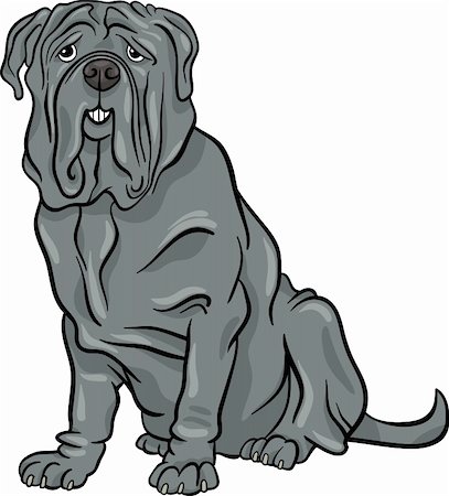 simsearch:400-04214443,k - Cartoon Illustration of Cute Neapolitan Mastiff Purebred Dog Stock Photo - Budget Royalty-Free & Subscription, Code: 400-06523035