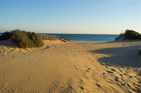 Coastal dunes  on  Mediterranean Costa Blanca, Spain Stock Photo - Budget Royalty-Free & Subscription, Code: 400-06555126