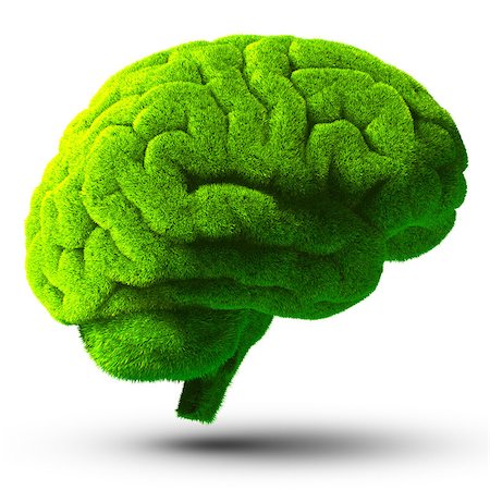 environmental business illustration - The human brain is covered with green grass. The metaphor of the wild, natural or imperfect intelligence. Isolated on white background with shadow Stock Photo - Budget Royalty-Free & Subscription, Code: 400-06557668