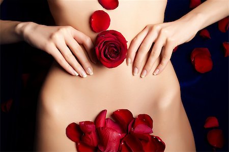 pregnancy nude - female's belly with red rosebud and petals Stock Photo - Budget Royalty-Free & Subscription, Code: 400-06564264