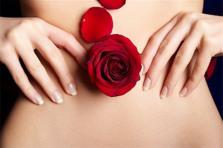 pregnancy nude - female's belly with red rosebud and petals Stock Photo - Budget Royalty-Free & Subscription, Code: 400-06564265
