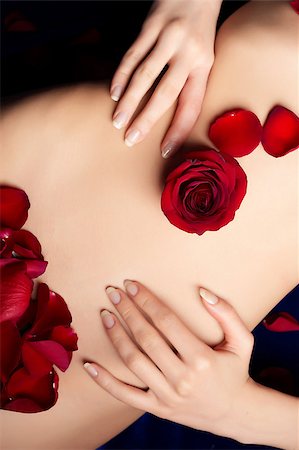 pregnancy nude - female's belly with red rosebud and petals Stock Photo - Budget Royalty-Free & Subscription, Code: 400-06564266