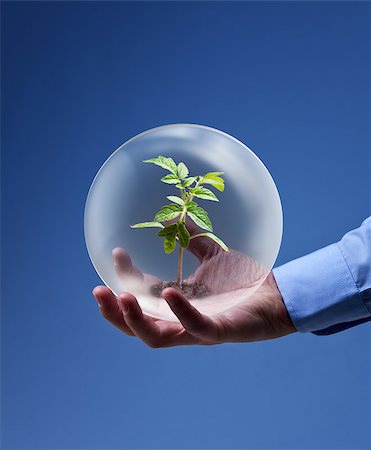 Environmental friendly business concept - businessman hand holding plant in glass sphere Stock Photo - Budget Royalty-Free & Subscription, Code: 400-06566152