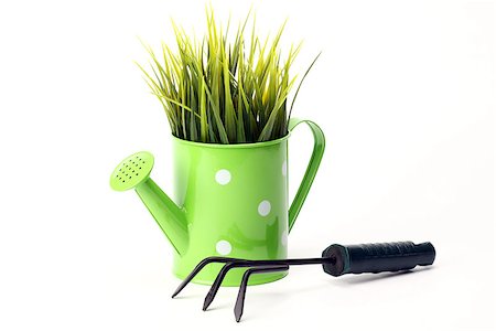 simsearch:400-05297250,k - gardening tools and grass on white background Stock Photo - Budget Royalty-Free & Subscription, Code: 400-06566577