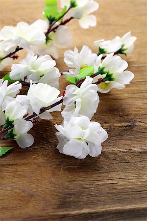 flowering sakura tree branches (artificial) on a wooden background Stock Photo - Budget Royalty-Free & Subscription, Code: 400-06569947