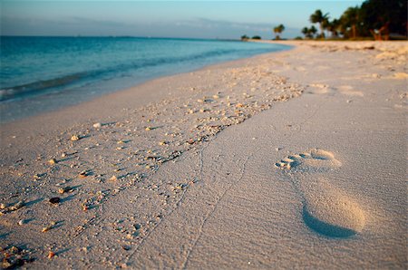 simsearch:400-04377093,k - Footprint on sand of Sombrero Beach, Marathon Island, Florida Keys, USA. Stock Photo - Budget Royalty-Free & Subscription, Code: 400-06639001