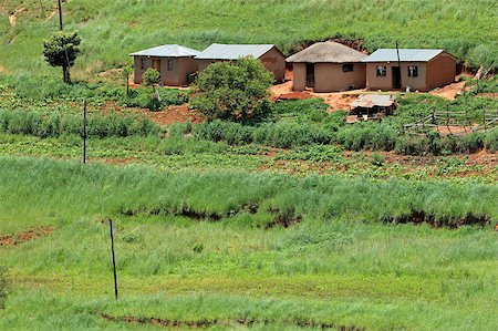 ecoshow (artist) - Small rural huts with cultivated lands, KwaZulu-Natal, South Africa Stock Photo - Budget Royalty-Free & Subscription, Code: 400-06645236