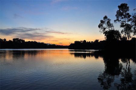 singapore nature scenery - Sunset at Lower Peirce Reservoir (Singapore) with silhouette of trees, and the reflections on the water. Stock Photo - Budget Royalty-Free & Subscription, Code: 400-06645245