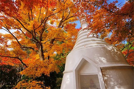 simsearch:400-06640469,k - November 28, 2012: Pagoda during the fall at Ryuan-ji in Temple Kyoto, Japan. Stock Photo - Budget Royalty-Free & Subscription, Code: 400-06640456