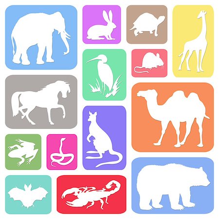 scorpion, white background - Set of animals in colorful rectangles on white background Stock Photo - Budget Royalty-Free & Subscription, Code: 400-06643820