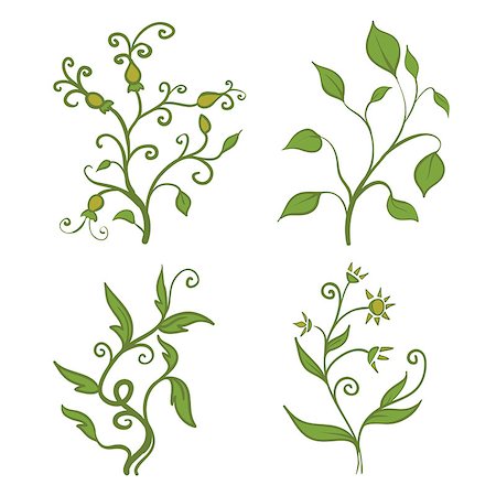 foliage drawing - set of vintage green plants Stock Photo - Budget Royalty-Free & Subscription, Code: 400-06686684