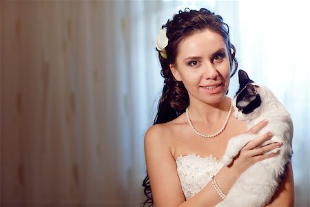 bride with a Siamese cat Stock Photo - Budget Royalty-Free & Subscription, Code: 400-06694116