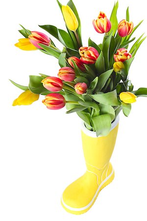 Ceramic boot vase with fresh tulips isolated on white background Stock Photo - Budget Royalty-Free & Subscription, Code: 400-06698756