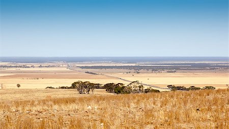 simsearch:400-04698881,k - An image of a beautiful south australian scenery Stock Photo - Budget Royalty-Free & Subscription, Code: 400-06693812