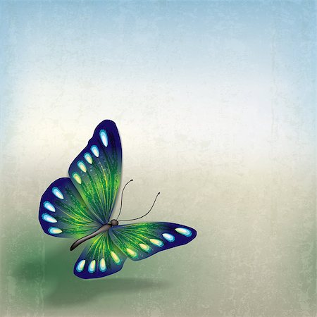 abstract grunge background with butterfly on gtay Stock Photo - Budget Royalty-Free & Subscription, Code: 400-06736729
