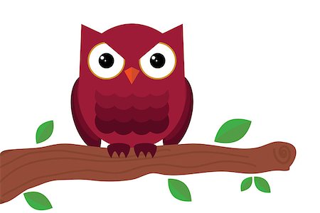 owl sitting on branch on white background Stock Photo - Budget Royalty-Free & Subscription, Code: 400-06747532