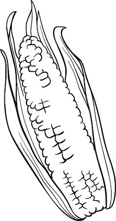 Black and White Cartoon Illustration of Corn on the Cob Food Object for Coloring Book Foto de stock - Super Valor sin royalties y Suscripción, Código: 400-06747727