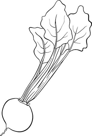Black and White Cartoon Illustration of Beet Vegetable Food Object for Coloring Book Foto de stock - Super Valor sin royalties y Suscripción, Código: 400-06747745