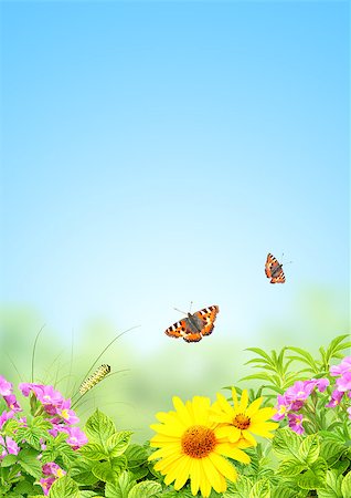 simsearch:400-06069768,k - Summer frame with green leaves and flowers Stock Photo - Budget Royalty-Free & Subscription, Code: 400-06748555