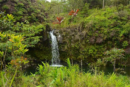 Waterfall and nature scenery from Maui, Hawaii Foto de stock - Super Valor sin royalties y Suscripción, Código: 400-06740718