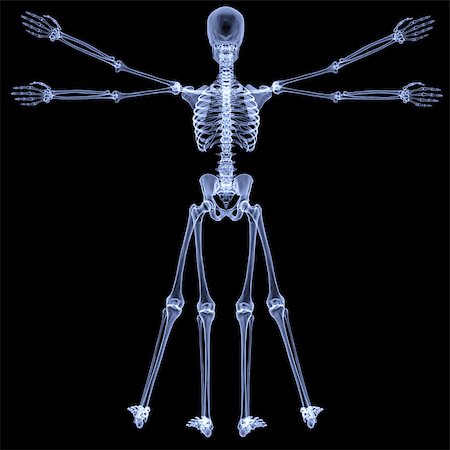 vitruvian man under X-rays. isolated on black. Stock Photo - Budget Royalty-Free & Subscription, Code: 400-06741431