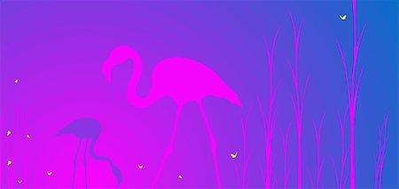 Flamingos in the lake Stock Photo - Budget Royalty-Free & Subscription, Code: 400-06741916