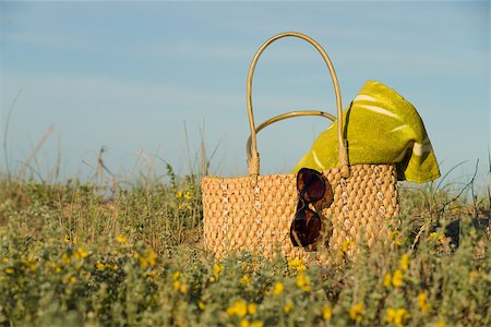 Outdoors spring still life, handbag sitting in a flower bed Stock Photo - Budget Royalty-Free & Subscription, Code: 400-06742015