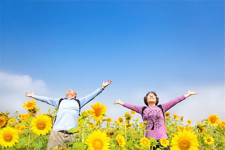 relaxed senior couple standing in the sunflower garden Stock Photo - Budget Royalty-Free & Subscription, Code: 400-06742818