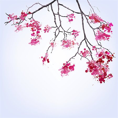 sakura petals vector - Spring Blooming Sakura branch of blots background design Stock Photo - Budget Royalty-Free & Subscription, Code: 400-06750767