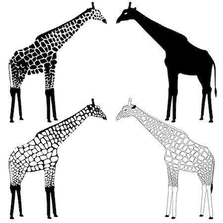 ekazansk (artist) - Set of giraffe black&white spotted silhouettes Stock Photo - Budget Royalty-Free & Subscription, Code: 400-06764262