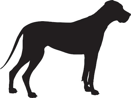 A Great Dane dog shown in black silhouette profile. Stock Photo - Budget Royalty-Free & Subscription, Code: 400-06768640