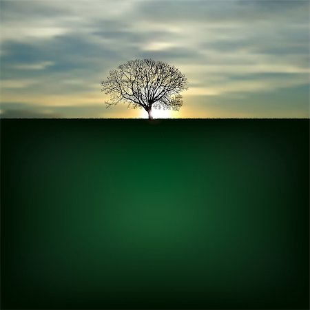 simsearch:400-06408905,k - Nature background with silhouette of tree and sunrise Stock Photo - Budget Royalty-Free & Subscription, Code: 400-06762255