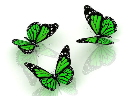 simsearch:400-06912266,k - 3D Three beautiful green butterfly discussing something on white background Stock Photo - Budget Royalty-Free & Subscription, Code: 400-06763052