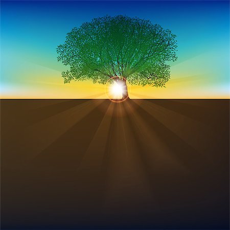 simsearch:400-06408905,k - abstract Nature background with sunrise and tree Stock Photo - Budget Royalty-Free & Subscription, Code: 400-06763819