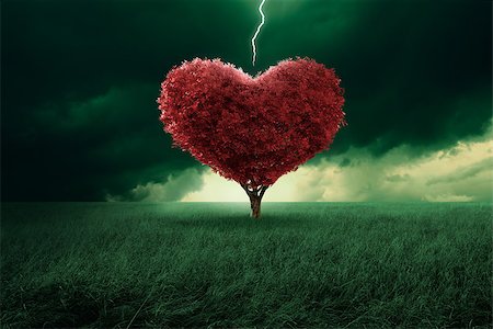 road to paradise - Tree in the shape of heart hit from a lightning Stock Photo - Budget Royalty-Free & Subscription, Code: 400-06773051