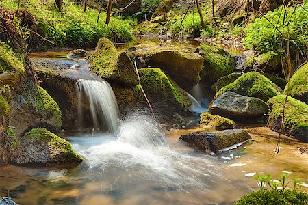 simsearch:400-05722881,k - The river runs over boulders in the primaeval forest Stock Photo - Budget Royalty-Free & Subscription, Code: 400-06791778