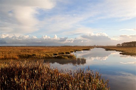 bright morning sunshine over lake Stock Photo - Budget Royalty-Free & Subscription, Code: 400-06793652