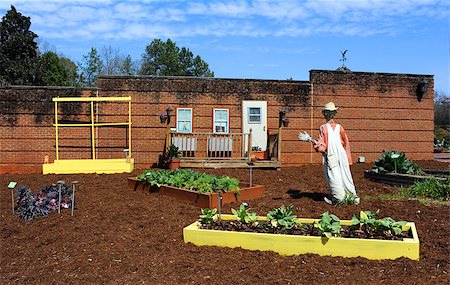 simsearch:400-05297250,k - Fresh tilled soil and vegetable garden is guarded by an overalled scarecrow at the Riverbanks Zoo and Garden in Columbia, South Carolina. Stock Photo - Budget Royalty-Free & Subscription, Code: 400-06793715