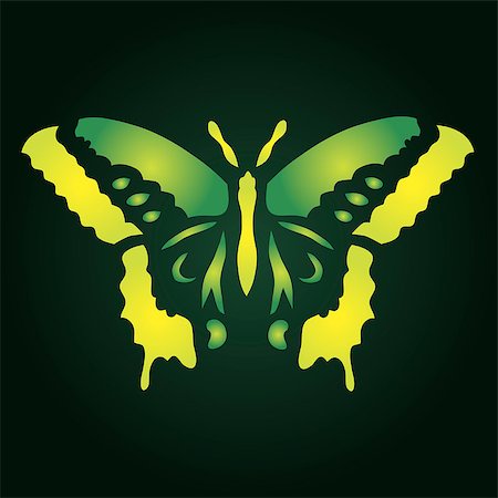 simsearch:400-06912266,k - colorful butterfly vector illustration for your design Stock Photo - Budget Royalty-Free & Subscription, Code: 400-06848786